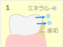 フッ素の効果